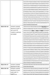 Figure imgf000037_0001