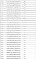 Figure BDA0002356059890002041