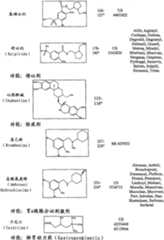 Figure A20068004619500821