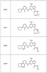 Figure imgf000265_0001