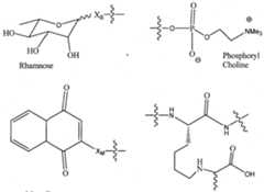 Figure imgf000028_0001