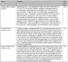 Figure imgf000265_0001