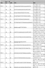 Figure BDA0002379404260000681