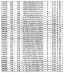 Figure BPA00001388922800601