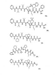 Figure G2009101493490D00611