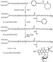 Figure imgf000029_0001