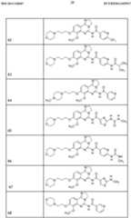 Figure imgf000029_0001