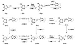 Figure JPOXMLDOC01-appb-C000174