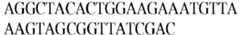 Figure imgb0387