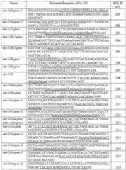 Figure imgf000022_0001