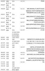 Figure BDA0002383733470000821