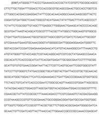 Figure imgf000110_0002