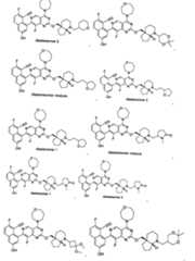 Figure imgf000038_0001
