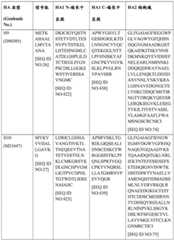 Figure BDA0004089703340001661