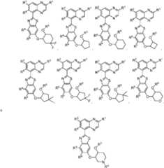 Figure imgf000005_0002