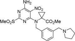 Figure BDA0000075082050000981