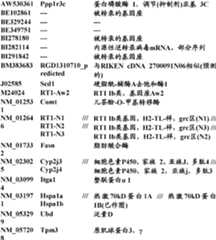 Figure BDA0000057170160001941