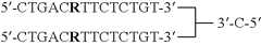 Figure US07276489-20071002-C00017