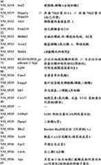 Figure BDA0000057170160001491