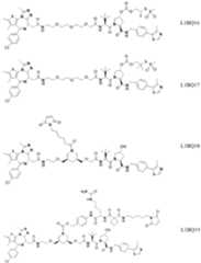 Figure imgf000346_0001