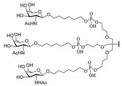 Figure 2023113843000447