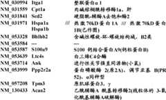 Figure BDA0000057170160001901