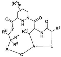 Figure imgf000031_0001