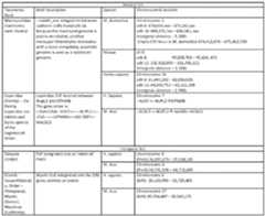 Figure imgf000031_0001