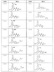 Figure JPOXMLDOC01-appb-T000023