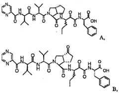 Figure FSA00000606821100101