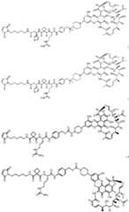 Figure imgf000146_0001