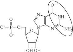 Figure US10501513-20191210-C00095