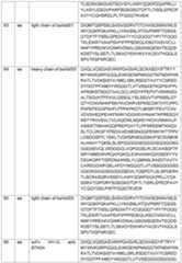 Figure imgf000076_0001