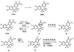 Figure 761140DEST_PATH_IMAGE311