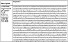 Figure imgf000563_0001