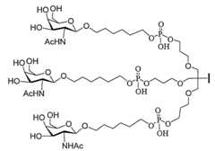 Figure 2023113843000562