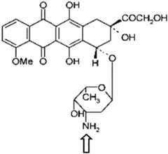 Figure imgf000119_0001