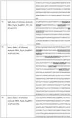 Figure imgf000159_0001