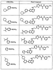 Figure 112007011503269-PCT00211
