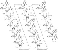 Figure imgf000034_0001