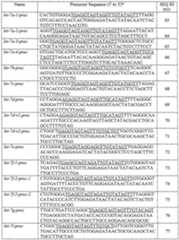 Figure imgf000013_0001