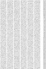 Figure IDA0002536600790000901