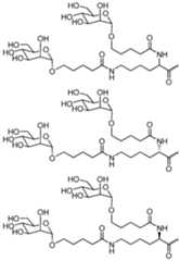 Figure imgf000101_0001