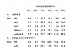 Figure BPA00001252299900391