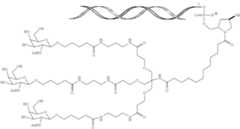 Figure US11034958-20210615-C00004