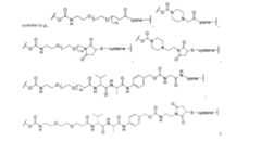 Figure imgf000095_0002