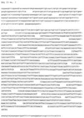 Figure imgf000083_0001