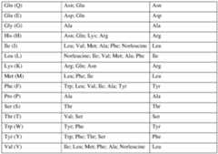 Figure imgf000033_0001