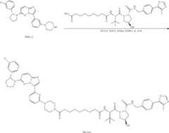 Figure US11969472-20240430-C00189