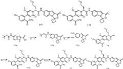 Figure GPA0000257967300001311